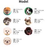 ハーネス 犬 首の負担が少ない | K-city | 詳細画像8