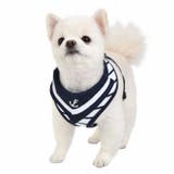 ハーネス 犬 首の負担が少ない | K-city | 詳細画像5 