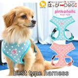 ハーネス 犬 ドット柄 | K-city | 詳細画像1 