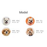 ハーネス 犬 ドット柄 | K-city | 詳細画像9 