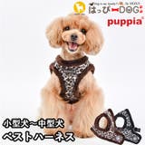 ハーネス 犬 ヒョウ柄 | K-city | 詳細画像1