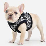 ハーネス 犬 ヒョウ柄 | K-city | 詳細画像2