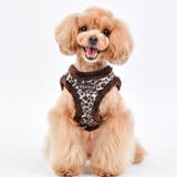 ハーネス 犬 ヒョウ柄 | K-city | 詳細画像3