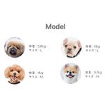ハーネス 犬 ヒョウ柄 | K-city | 詳細画像9