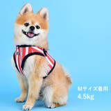 ハーネス ストライプ 犬 | K-city | 詳細画像3 