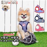 ハーネス 犬 首の負担が少ない | K-city | 詳細画像1 