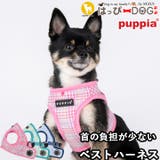 ハーネス 犬 首の負担が少ない | K-city | 詳細画像1
