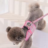 ハーネス 犬 首の負担が少ない | K-city | 詳細画像3