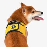ハーネス 犬 首の負担が少ない | K-city | 詳細画像13