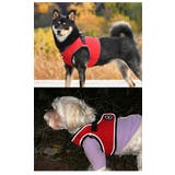 ハーネス 犬 首の負担が少ない | K-city | 詳細画像3