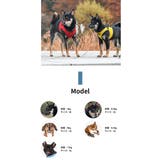 ハーネス 犬 首の負担が少ない | K-city | 詳細画像8