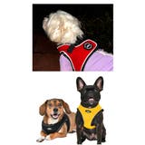 ハーネス 犬 首の負担が少ない | K-city | 詳細画像10