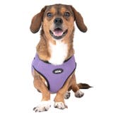 ハーネス 犬 LEDライト | K-city | 詳細画像11