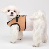 ハーネス 犬 LEDライト | K-city | 詳細画像12