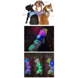 ハーネス 犬 LEDライト | K-city | 詳細画像7