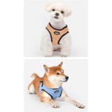 ハーネス 犬 LEDライト | K-city | 詳細画像8