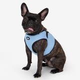 ハーネス 犬 LEDライト | K-city | 詳細画像10