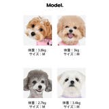 ハーネス 犬 首の負担が少ない | K-city | 詳細画像9 