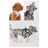 ハーネス 犬 首の負担が少ない | K-city | 詳細画像3