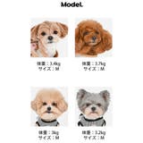ハーネス 犬 首の負担が少ない | K-city | 詳細画像8