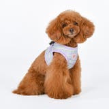 ハーネス チェック柄 犬 | K-city | 詳細画像4