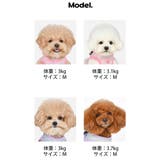 ハーネス チェック柄 犬 | K-city | 詳細画像8