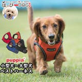 ハーネス 犬 首の負担が少ない | K-city | 詳細画像1 