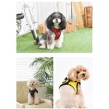 ハーネス 犬 首の負担が少ない | K-city | 詳細画像2
