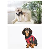 ハーネス 犬 首の負担が少ない | K-city | 詳細画像3