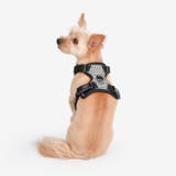 ハーネス 犬 首の負担が少ない | K-city | 詳細画像5 