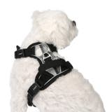 ハーネス 犬 首の負担が少ない | K-city | 詳細画像5 