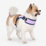 ハーネス 犬 首の負担が少ない | K-city | 詳細画像2
