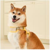 ハーネス 犬 首の負担が少ない | K-city | 詳細画像3