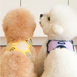 ハーネス 犬 首の負担が少ない | K-city | 詳細画像4