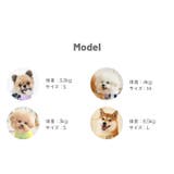 ハーネス 犬 首の負担が少ない | K-city | 詳細画像9