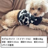 犬 服 犬服 | K-city | 詳細画像3 