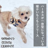 犬 服 犬服 | K-city | 詳細画像2 