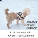 犬 服 犬服 | K-city | 詳細画像4 