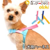 ハーネス 犬 首の負担が少ない | K-city | 詳細画像1
