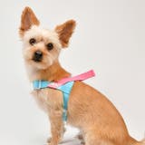 ハーネス 犬 首の負担が少ない | K-city | 詳細画像3
