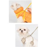 ハーネス 犬 首の負担が少ない | K-city | 詳細画像4