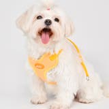 ハーネス 犬 首の負担が少ない | K-city | 詳細画像5