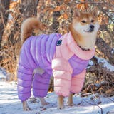 犬 服 犬服 | K-city | 詳細画像2