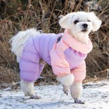 犬 服 犬服 | K-city | 詳細画像3