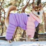 犬 服 犬服 | K-city | 詳細画像4