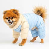 犬 服 犬服 | K-city | 詳細画像5