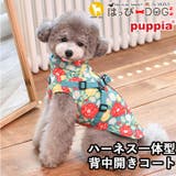 犬 服 犬服 | K-city | 詳細画像1 