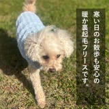 犬 服 犬服 | K-city | 詳細画像2