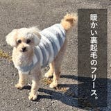 犬 服 犬服 | K-city | 詳細画像2