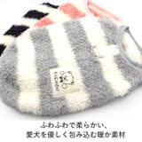 犬 服 犬服 | K-city | 詳細画像4